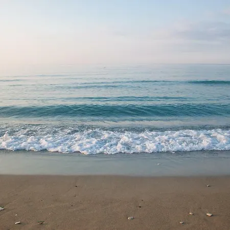 Beach Larnaca 沃罗里尼